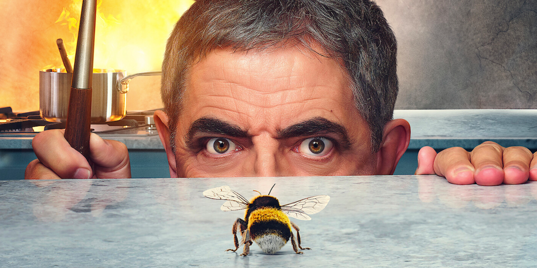 Man vs Bee